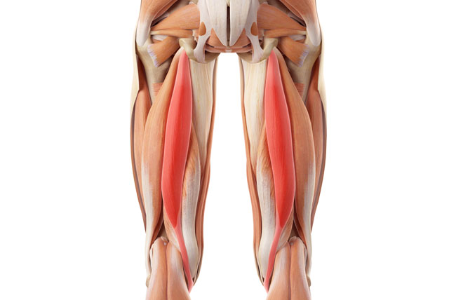 hamstring-injuries-symptoms-and-causes